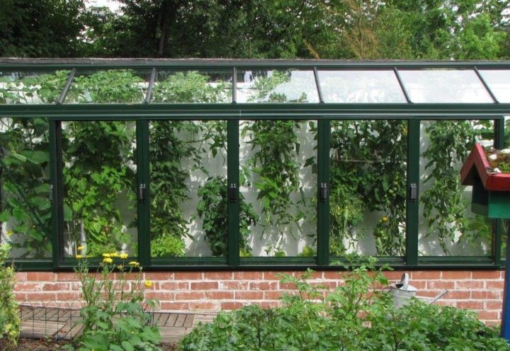 Arcadia Mur
