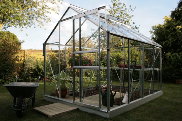Vitavia Venus